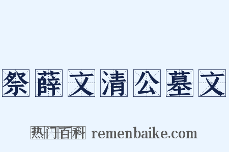 祭薛文清公墓文是什么意思的图片
